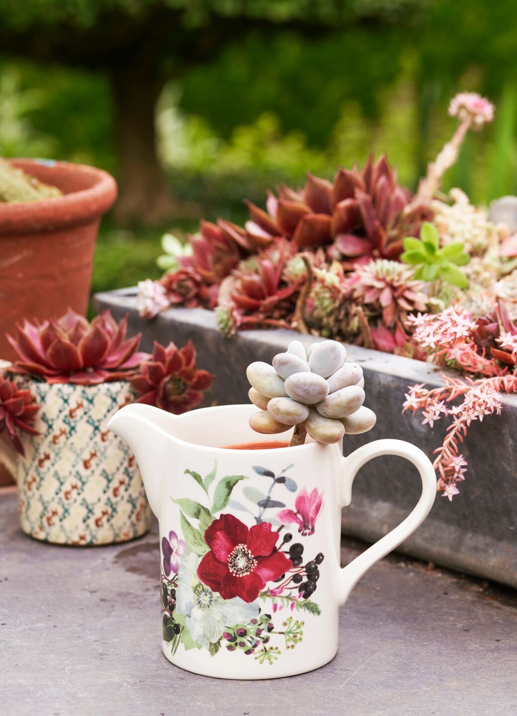 Hellebore & Winter Pansies Medium Straight Jug