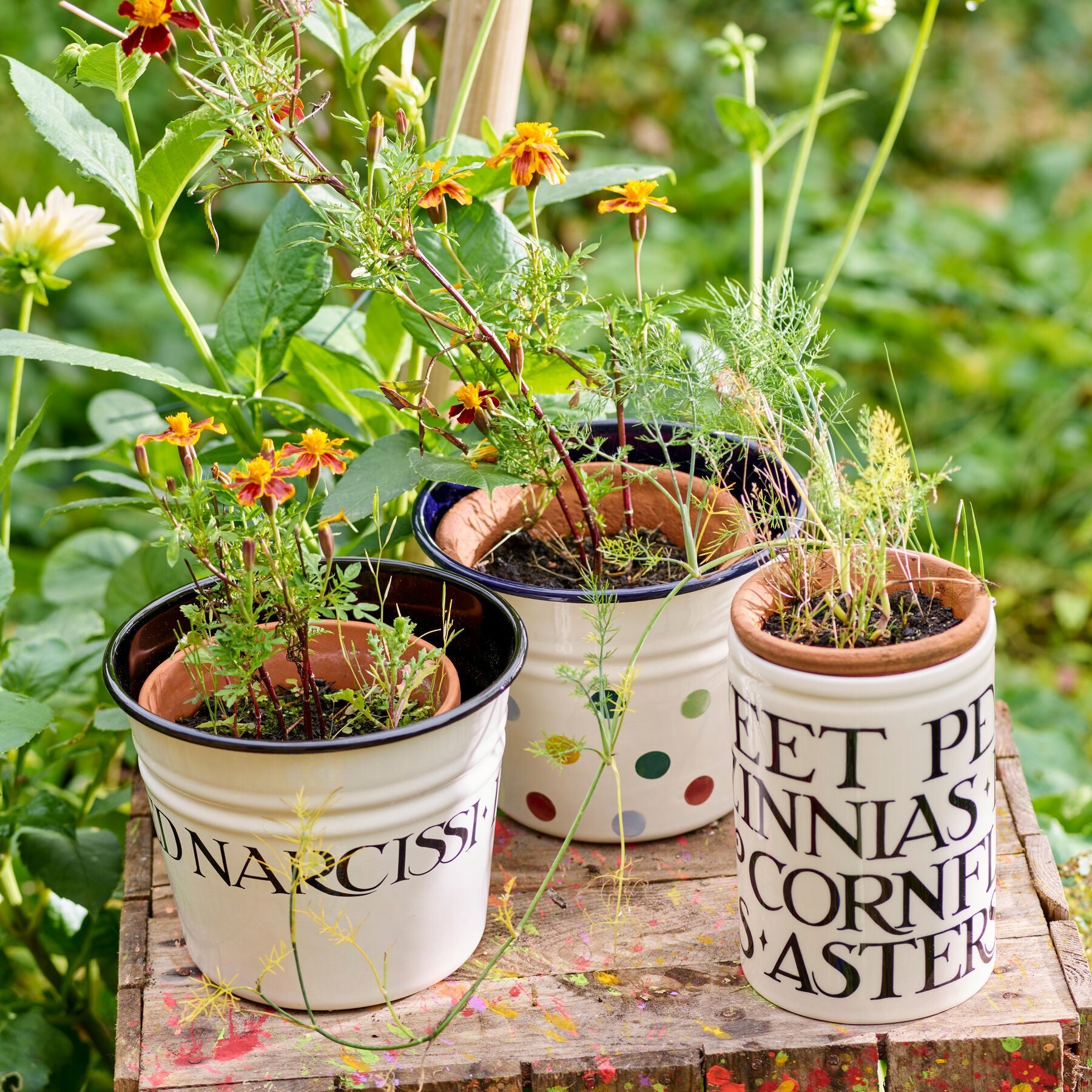 Black Toast Enamel Plant Pot