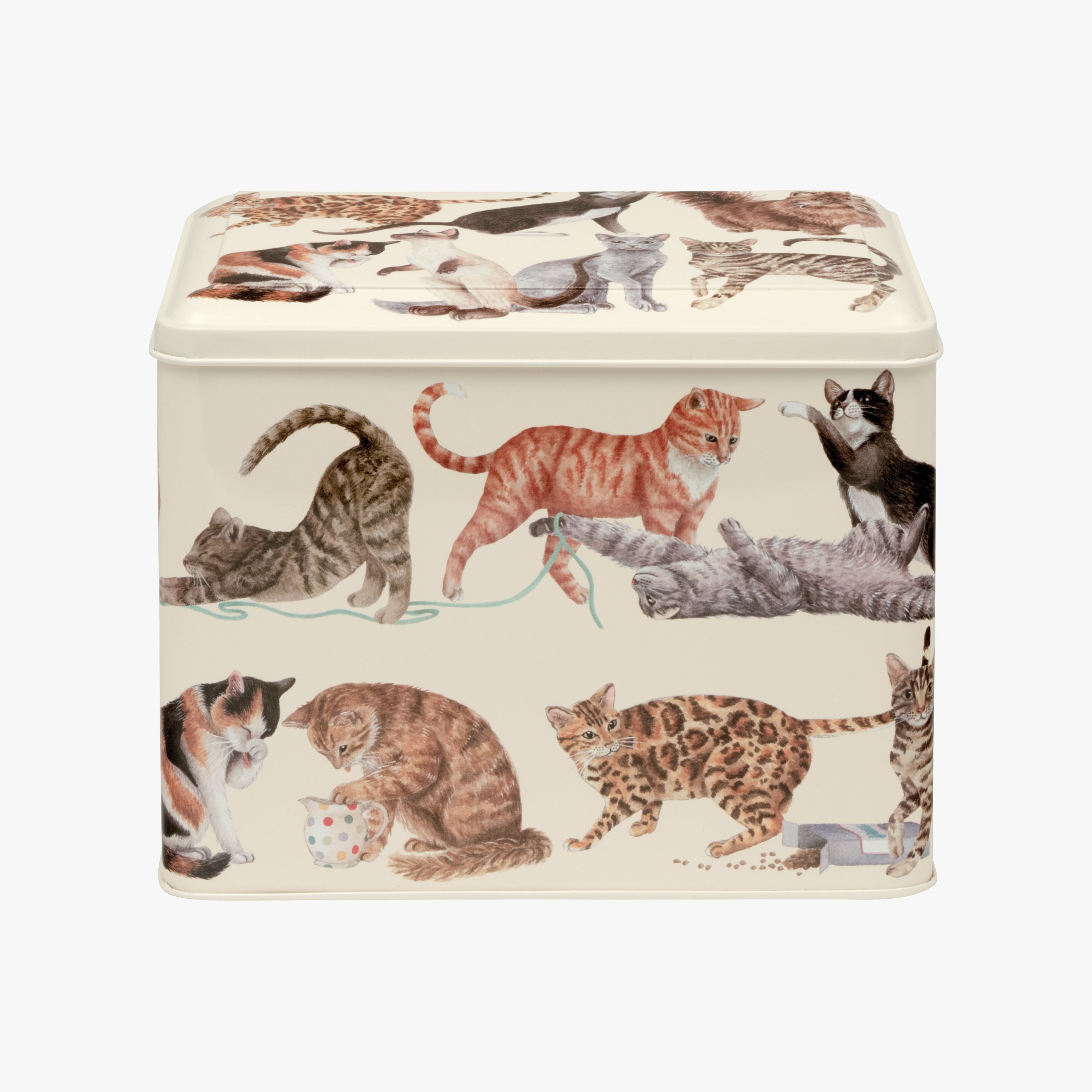 Cats Extra Large Rectangular Caddy